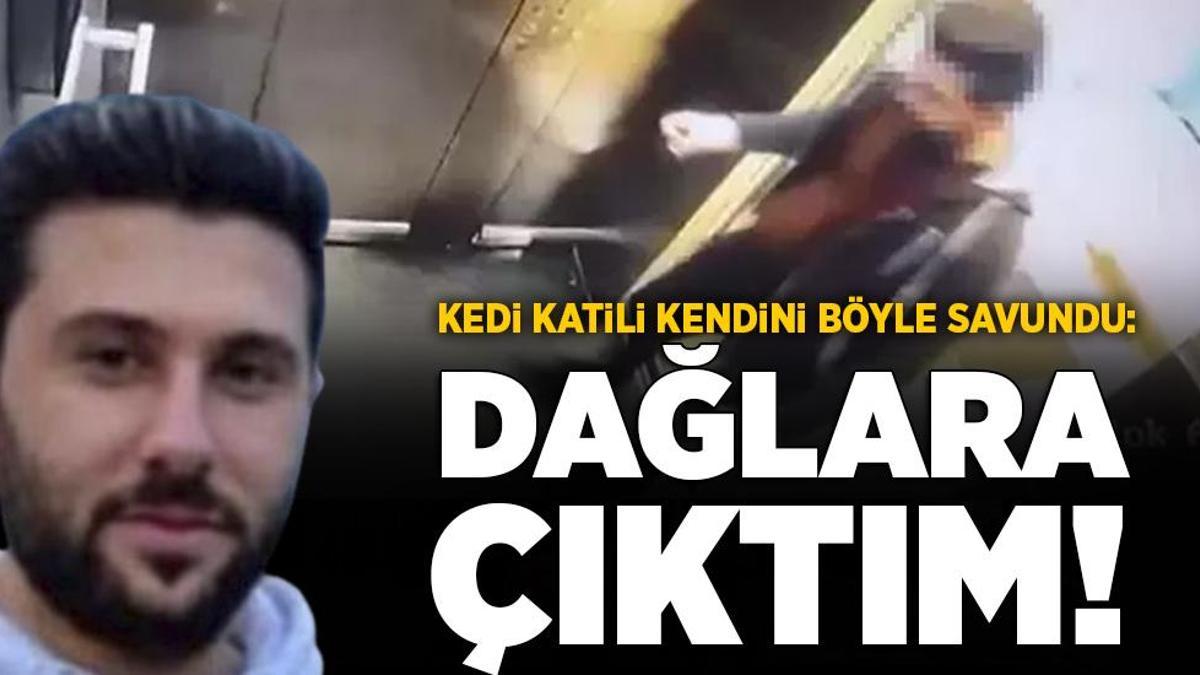 Türkiye bu vahşeti konuşuyor! Duruşmada izdiham… Kedi katili kendini böyle savundu
