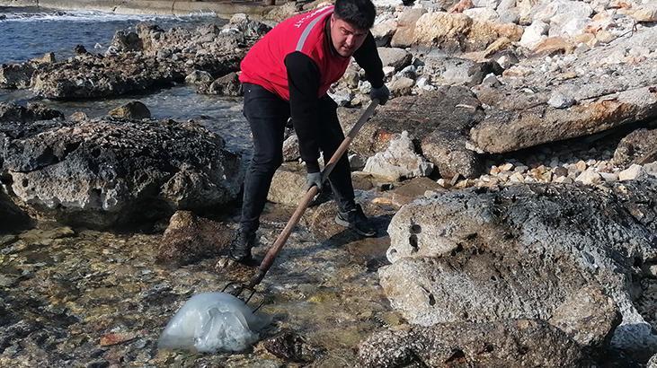Yüzlercesi kıyıya vurdu: Ölüsüne bile dokunmayın