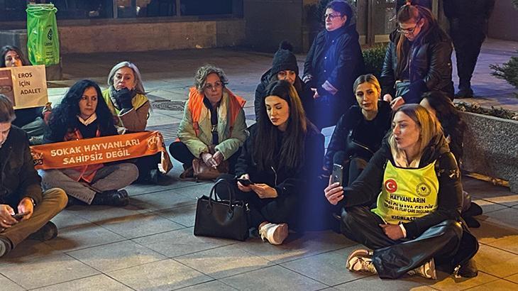 ‘Eros’ davasındaki karara hayvanseverlerden tepki: Hayvan cinayetinin iyi hali olmaz