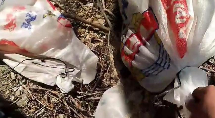 Böyle vicdansızlık görülmedi! Ağzı bağlı 4 çuvalın içinden çıktılar