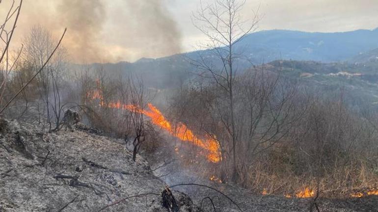 Artvin’de orman yangını! 1 hektarlık alan kullanılamaz hale geldi
