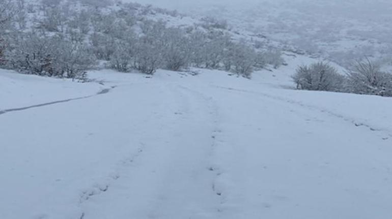 Siirt'te çığ düşmüştü! Mahsur kalan 12 kişi kurtarıldı