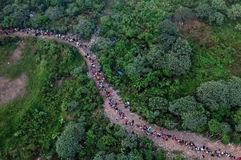 Ölüm ormanı! 106 km'lik sonu gelmez kabus