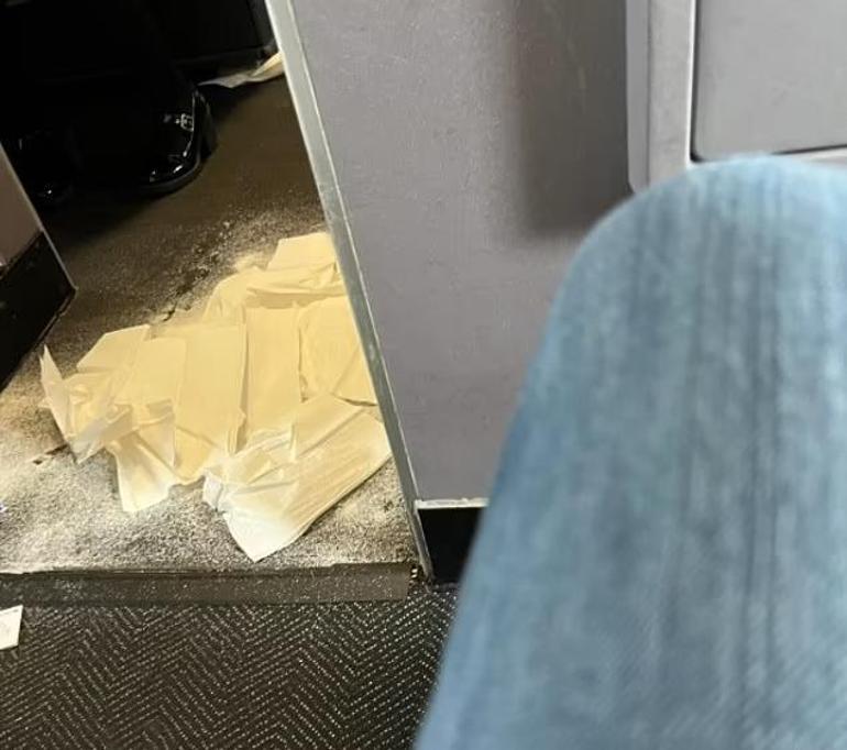 Uçağın koridoruna pisleyen köpek acil iniş yaptırdı! 'Koku bir türlü geçmedi'