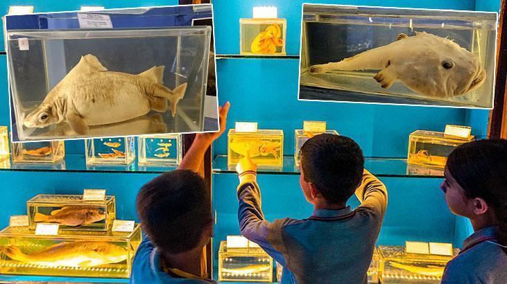 Müze değil mezarlık! Gezen çocuklardan ‘korkunç’ yorumu