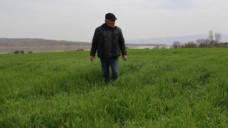 Bahar yağmurları çiftçinin yüzünü güldürdü