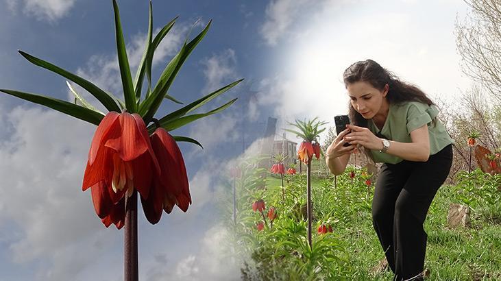 ‘Ters laleler’ çiçek açtı! Zarar verenlere 244 bin 315 lira ceza