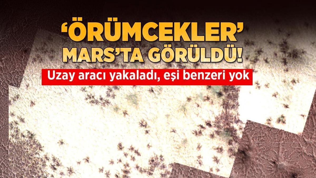 Mars’ta ‘örümcekler’ görüldü! Uzay aracı yakaladı, eşi benzeri yok