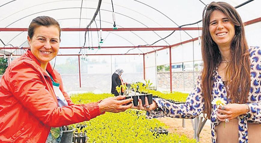 50 bin adet fide dağıttı