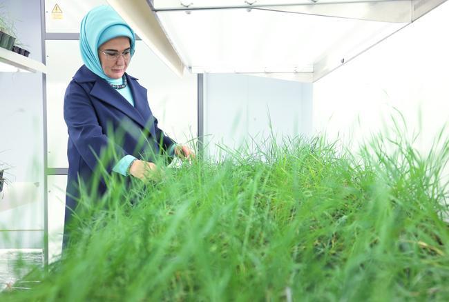 Emine Erdoğan'dan dünyanın en büyük üçüncü gen tohum bankasına ziyaret
