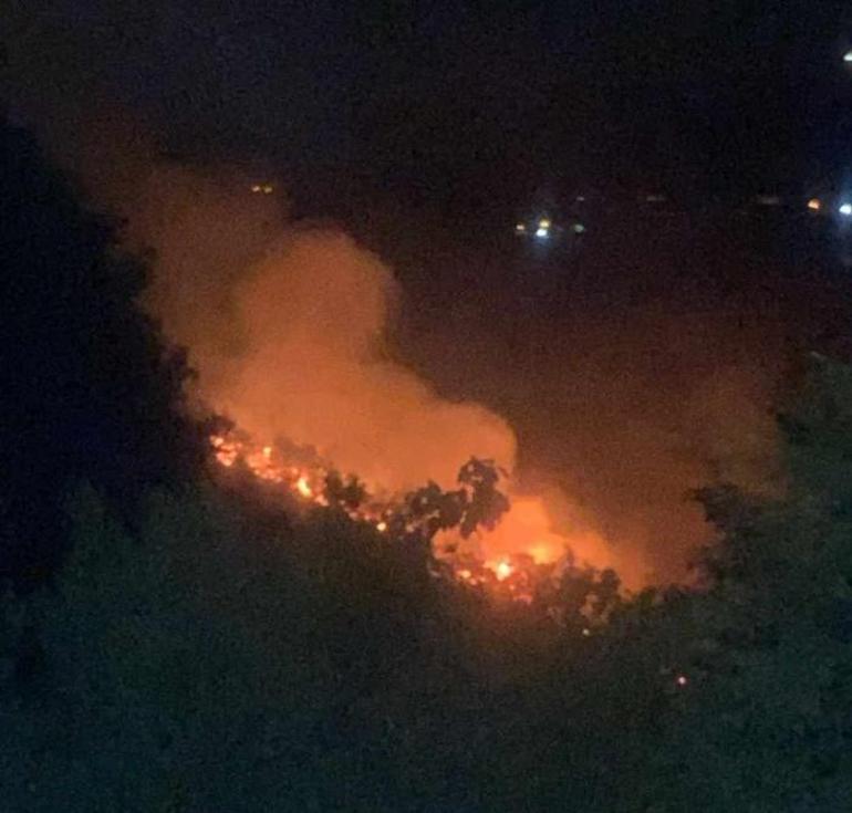 Yalova'da korkutan orman yangını! 2 kişi gözaltına alındı