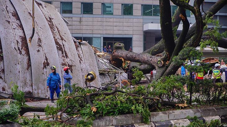 Malezya’da ‘ağaç’ paniği: Bir kişi öldü, 17 araçta hasar oluştu