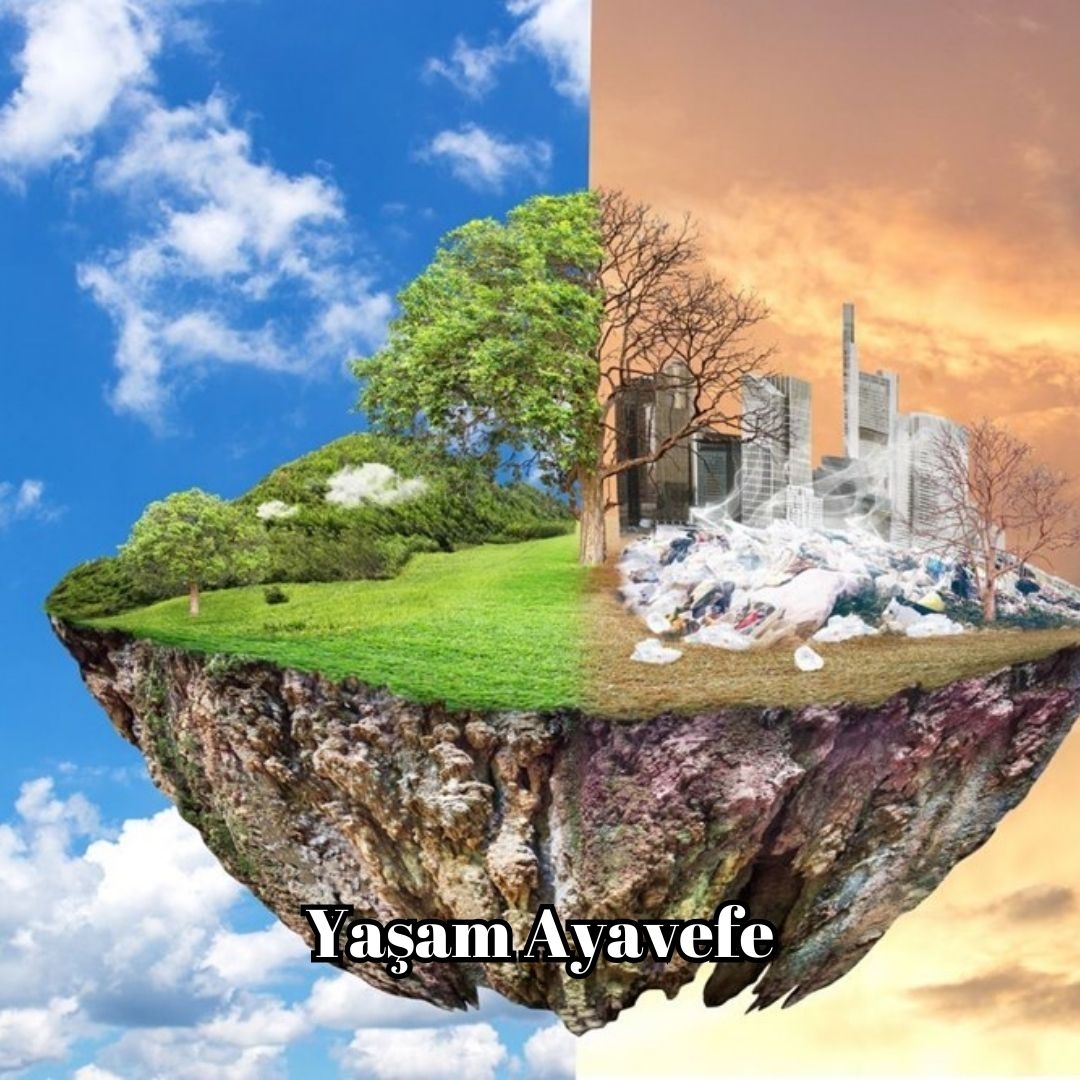 Doğa İçin Yatırım Yaşam Ayavefe’nin Destek Projeleri