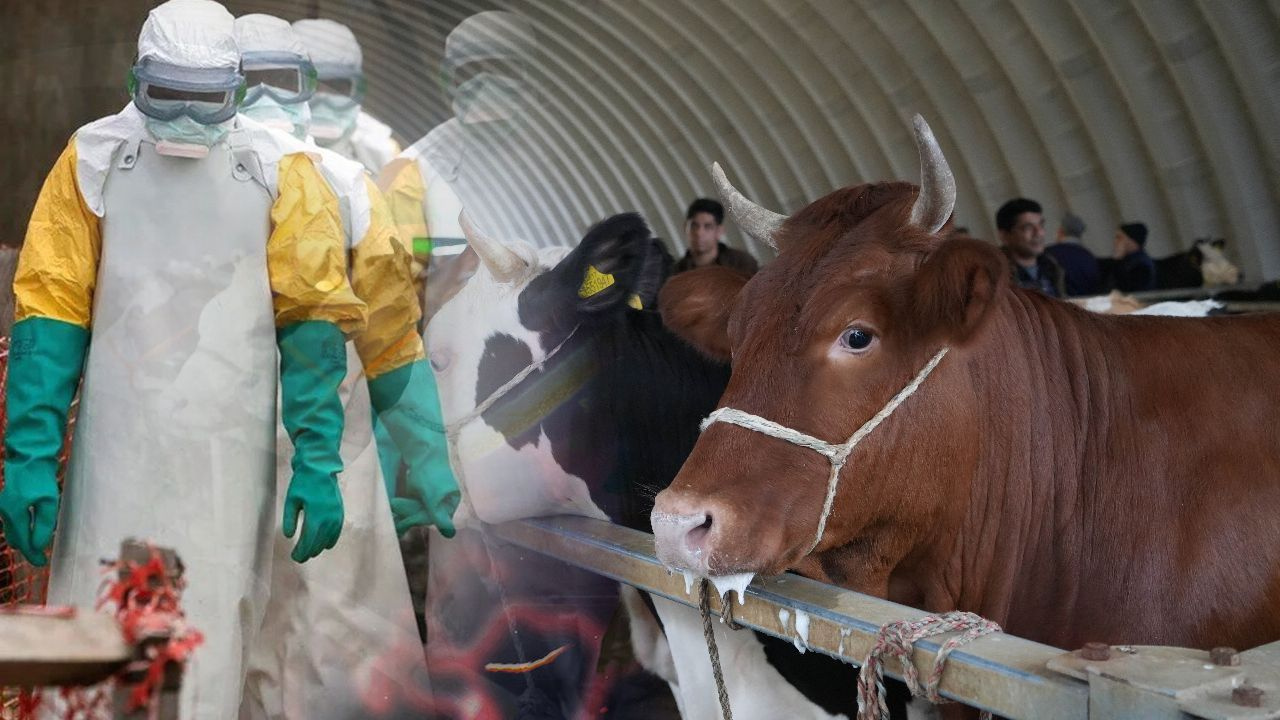 Bitlis de 13 Köyde Aşılama Seferberliği