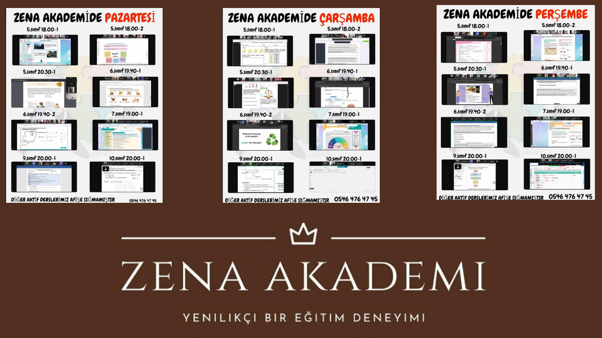 Zena Akademi: Gönüllülükten Doğan Dijital Eğitim Gücü