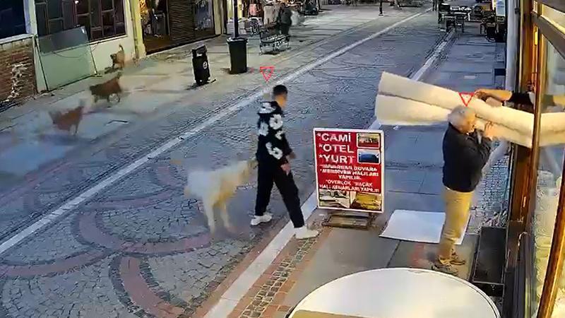 Edirne’de sokak köpeği dehşeti: Bir kişi yaralandı