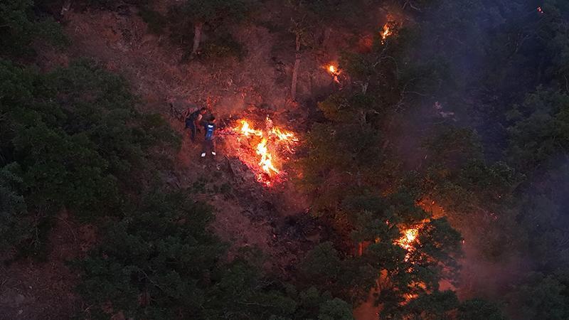 Munzur Vadisi Milli Parkı’nda Orman Yangını: Ekipler Seferber Oldu