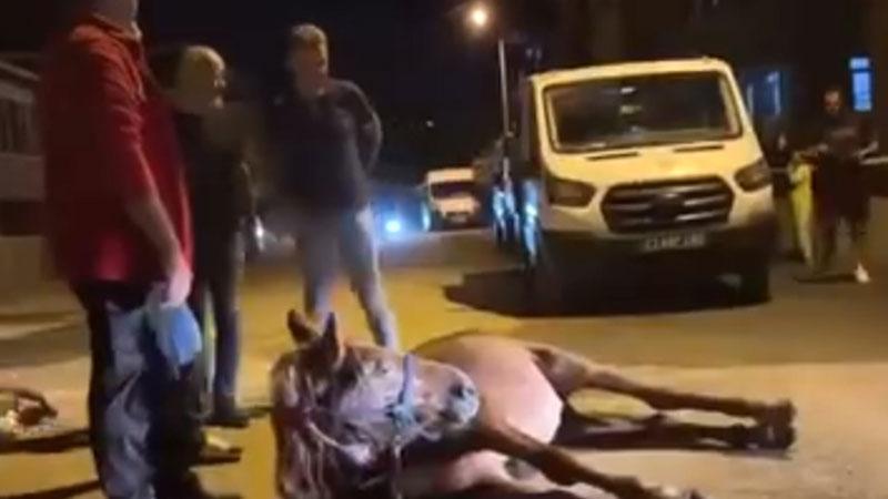 Keşan’da ata şiddet iddiası: 2 şüpheli gözaltına alındı