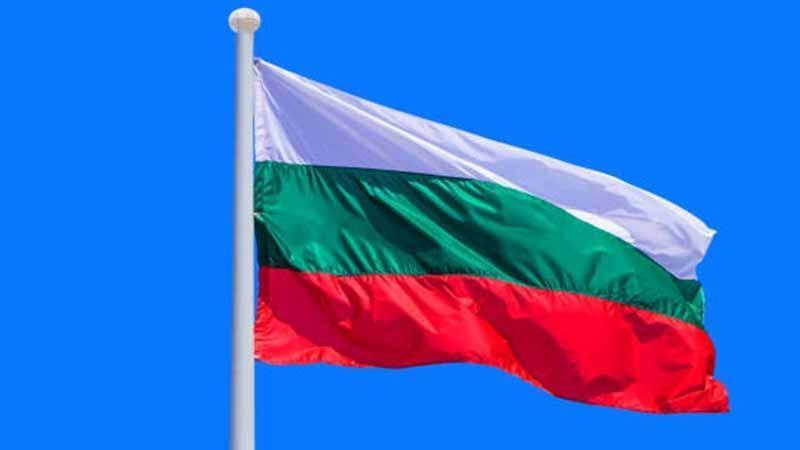 Bulgaristan’da Cumhurbaşkanı Seçimi İçin Oy Verme İşlemi Başladı